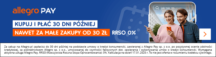 Allegro Pay — screenshot platformy